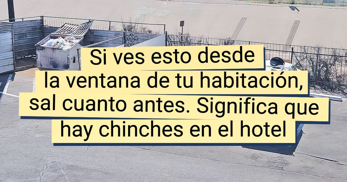 16 Personas que llegaron a su hotel y se encontraron con gato encerrado