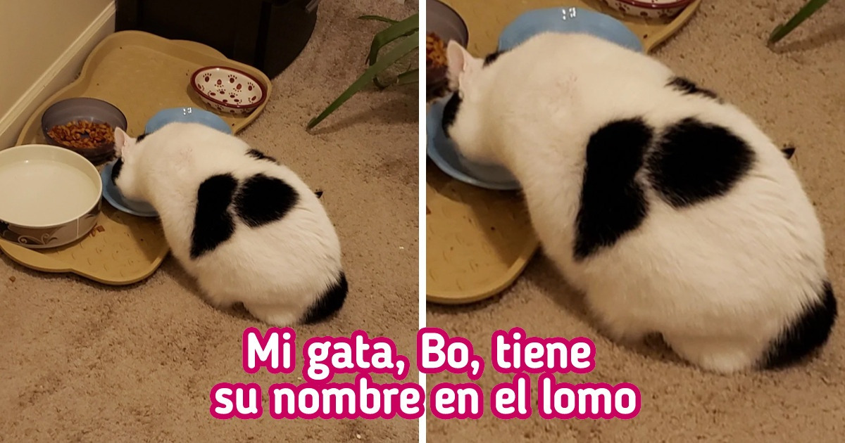 15 Personas que consiguieron asientos en primera fila para el increíble espectáculo de la vida
