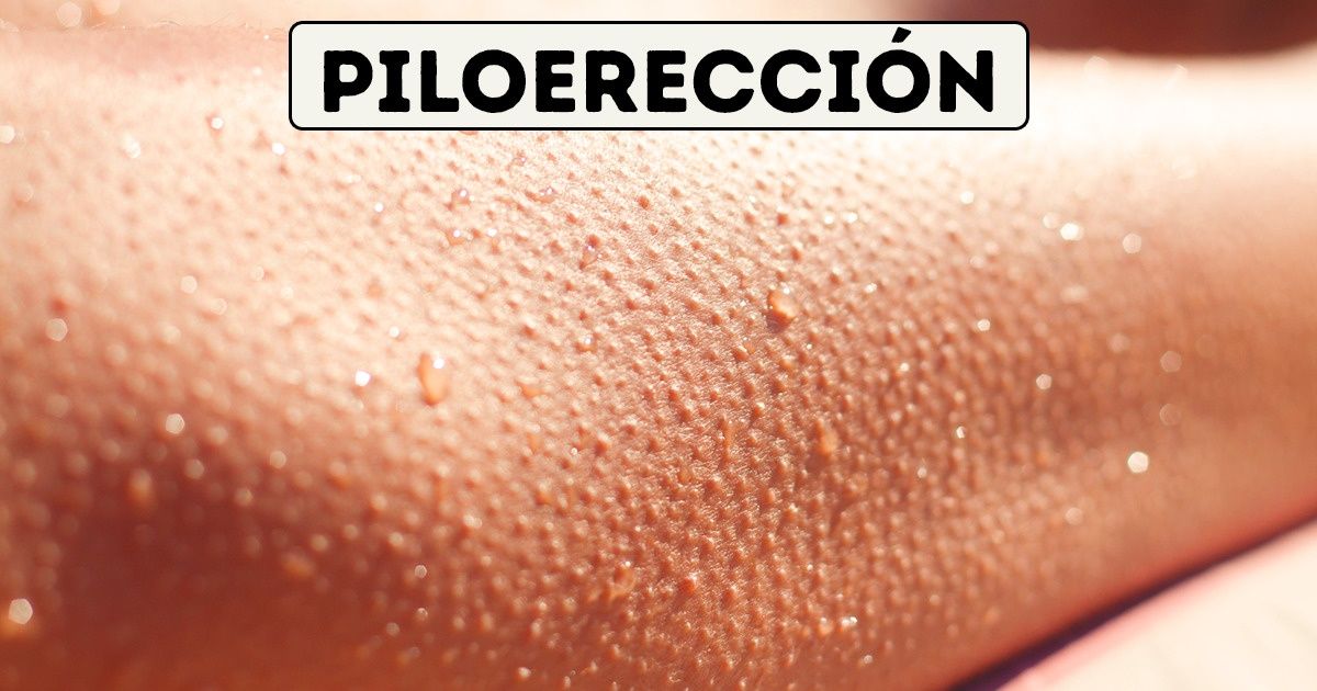 Creemos que tenemos pleno control sobre nuestro cuerpo, pero hay funciones que se escapan de nuestro poder