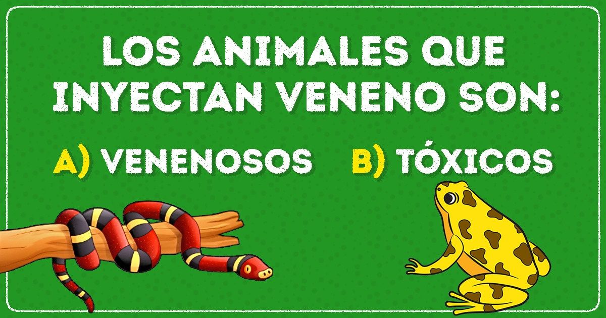 Test: Reta a tu cerebro con estas 17 preguntas sobre temas que desconciertan a muchos Test: Reta a tu cerebro con estas 17 preguntas sobre temas que desconciertan a muchos
