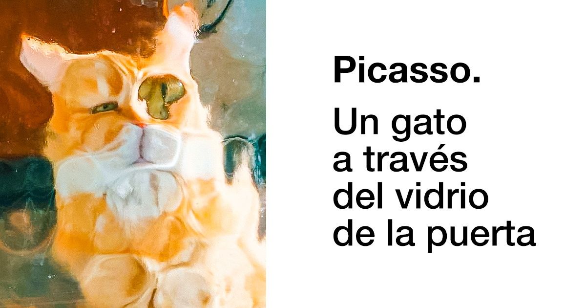 14 Imágenes que prueban que ser un gato es un verdadero arte 14 Imágenes que prueban que ser un gato es un verdadero arte