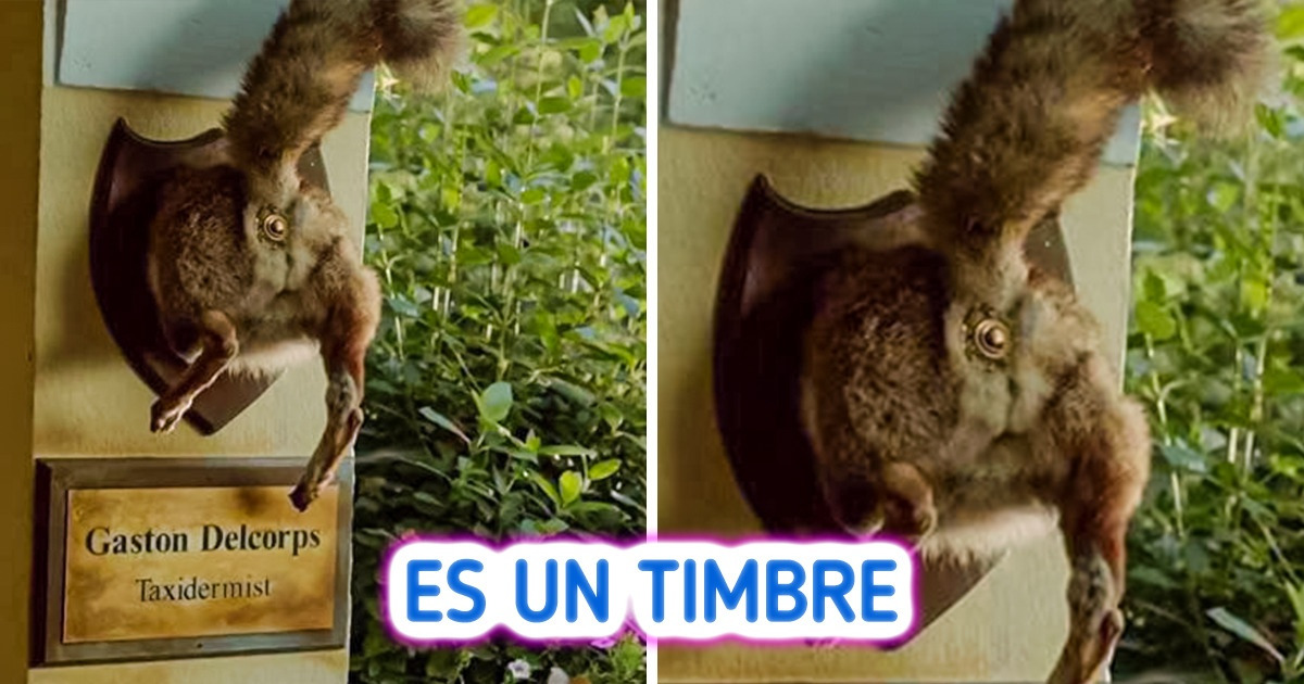 17 Veces en que el sentido común desapareció sin dar explicaciones