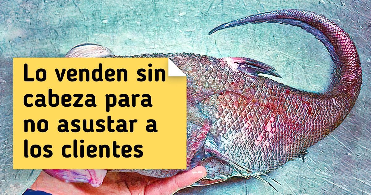 20+ Criaturas extravagantes cuyo verdadero lugar es en las páginas de las novelas de Lovecraft