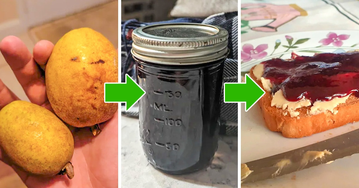 16 Consejos para reutilizar esos alimentos que parecía que ya no servían