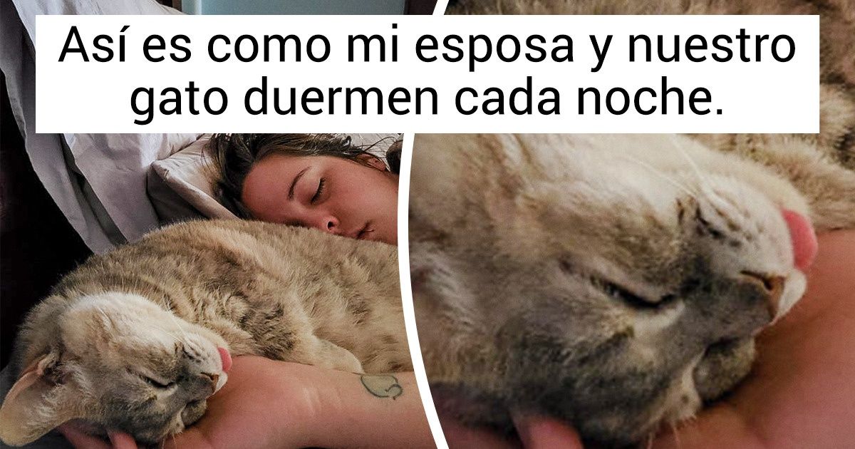 17 Mascotas que encontraron una manera de decirles “te amo” a sus dueños 17 Mascotas que encontraron una manera de decirles “te amo” a sus dueños