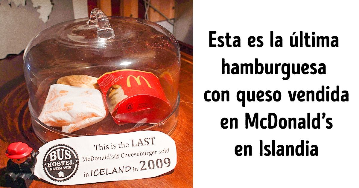 19 Cosas que solo se pueden encontrar en Islandia