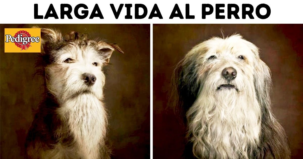 11 Anuncios publicitarios cuya creatividad está muy por encima de la de sus competidores