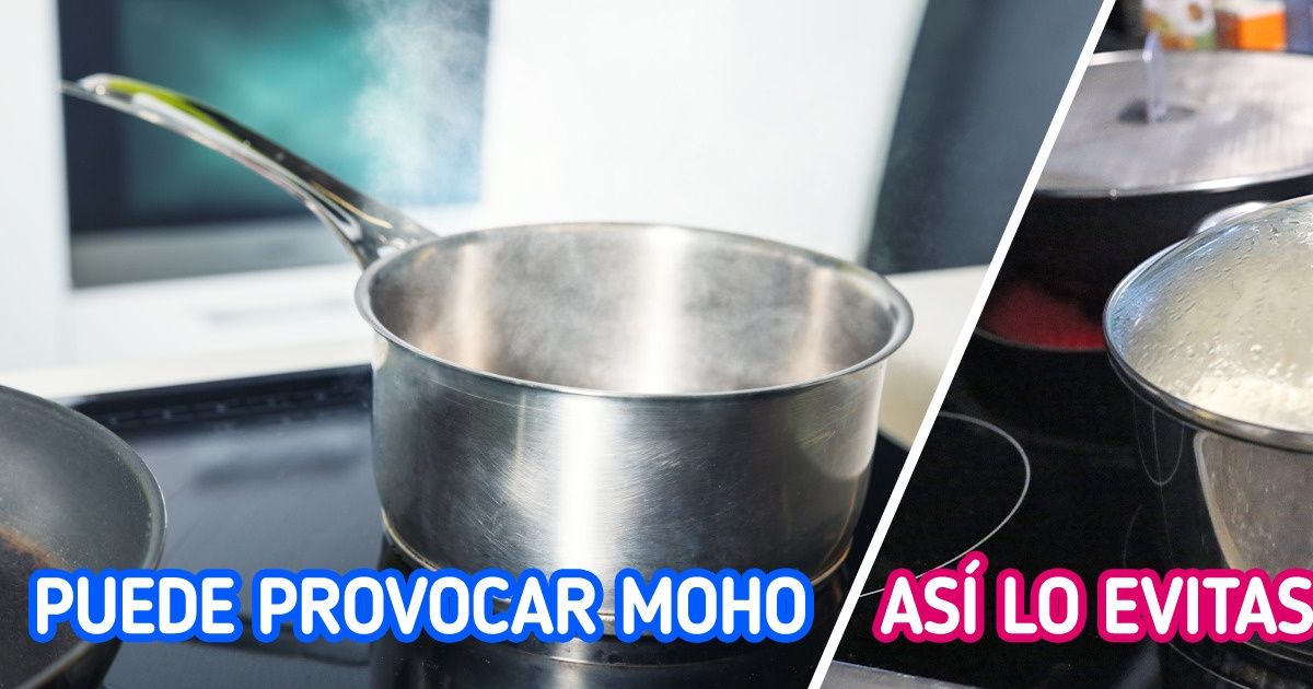 8 Errores que hacen que se forme moho en cualquier hogar con bastante facilidad 8 Errores que hacen que se forme moho en cualquier hogar con bastante facilidad