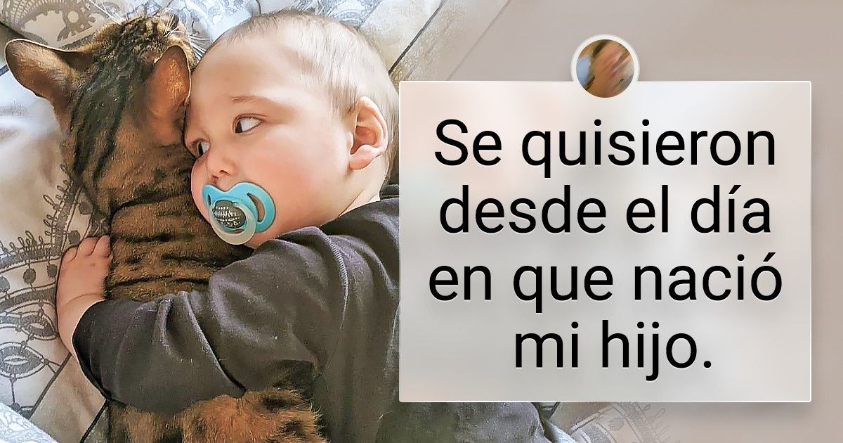 25 Mascotas que encontraron un amigo inseparable en el bebé de la familia