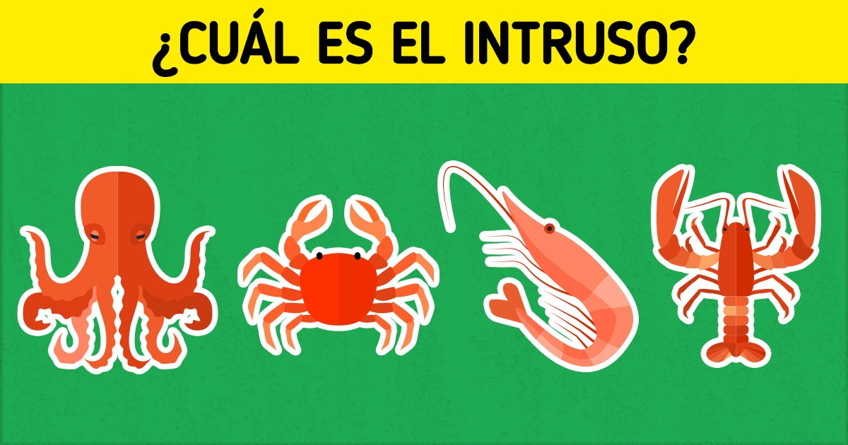 Test: Encuentra el elemento que no pertenece al grupo y demuestra que el pensamiento lógico no te falla Test: Encuentra el elemento que no pertenece al grupo y demuestra que el pensamiento lógico no te falla