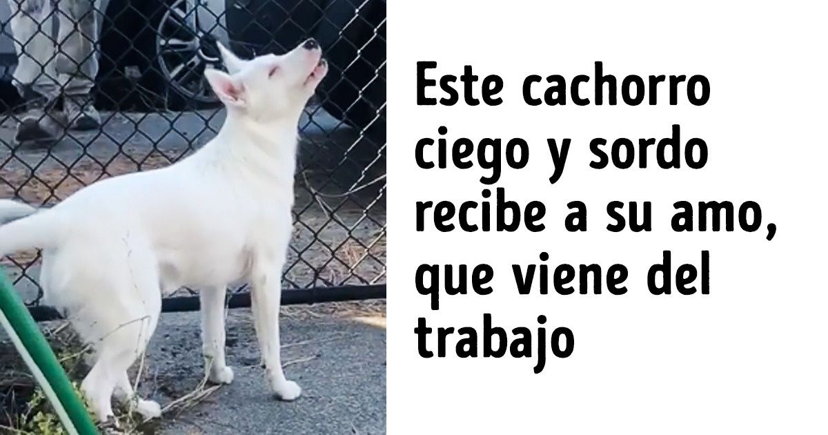 15 Imágenes con una conmovedora historia sobre la vida misma