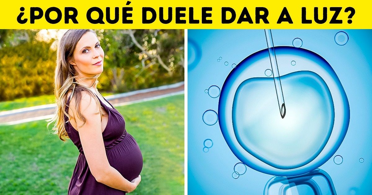 10 Defectos en la estructura del cuerpo humano que nos crean muchos problemas