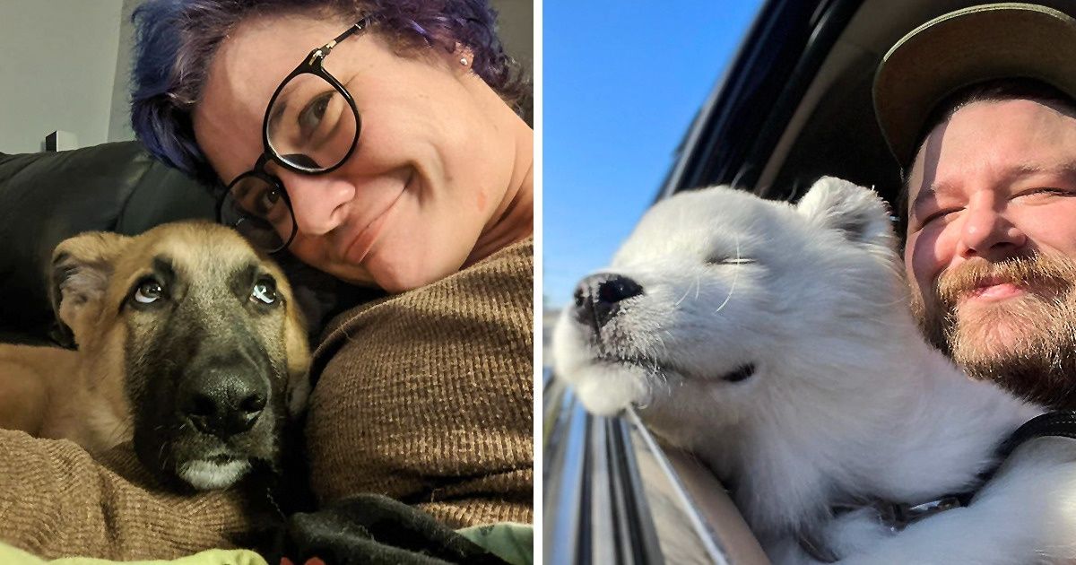 20 Animalitos que, con gestos y miradas, transmiten un mensaje muy claro a sus humanos 20 Animalitos que, con gestos y miradas, transmiten un mensaje muy claro a sus humanos