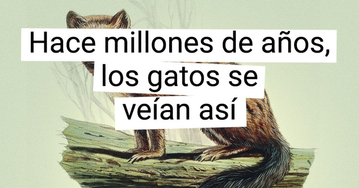 15 Comparaciones de animales con sus antepasados prehistóricos que hicieron que la mandíbula se nos cayera al suelo 15 Comparaciones de animales con sus antepasados prehistóricos que hicieron que la mandíbula se nos cayera al suelo