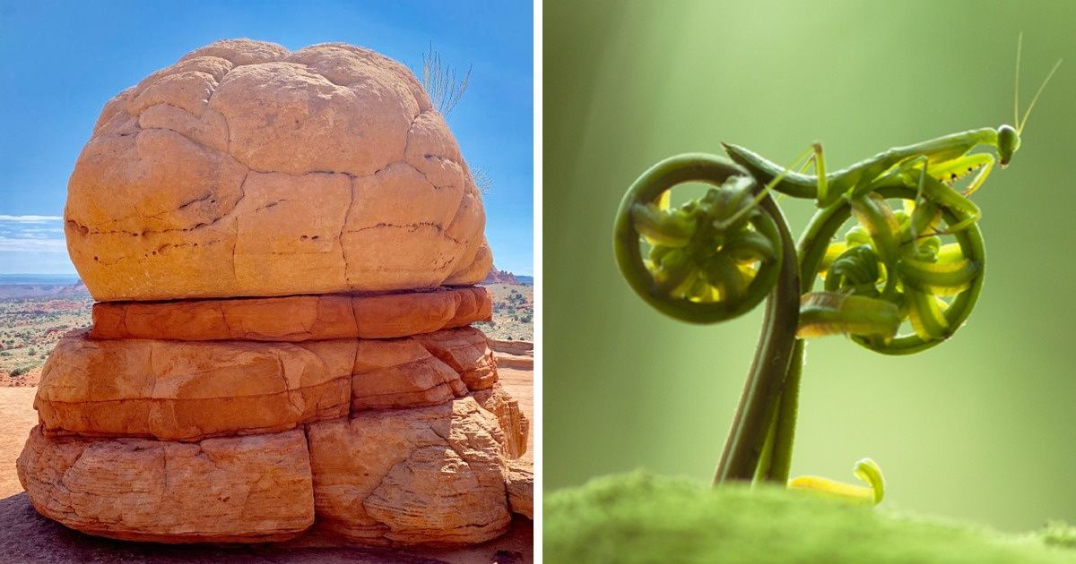 20 Fotos que prueban que la naturaleza siempre tiene algo que mostrarnos 20 Fotos que prueban que la naturaleza siempre tiene algo que mostrarnos