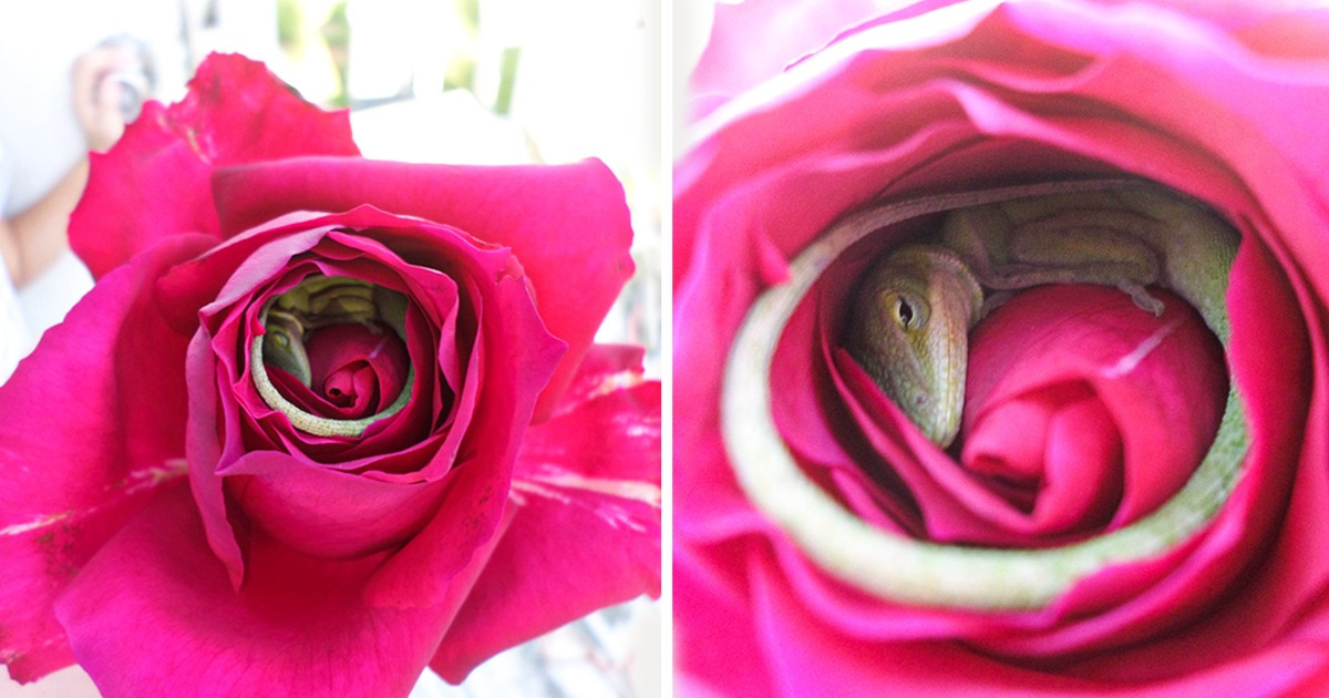 21 Veces en las que la naturaleza se lució con su poder y nos regaló una obra de arte