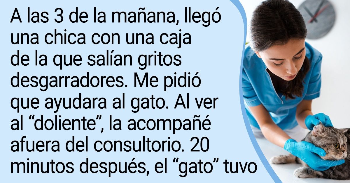 20+ Veterinarios hablaron sobre los errores que cometen incluso aquellos que aman mucho a sus mascotas 20+ Veterinarios hablaron sobre los errores que cometen incluso aquellos que aman mucho a sus mascotas