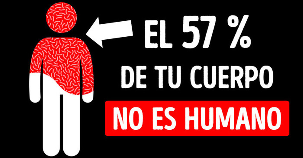 Compartes más de la mitad de tu cuerpo con algo inhumano Compartes más de la mitad de tu cuerpo con algo inhumano