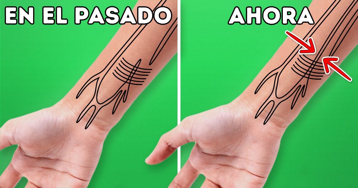 5 Señales que muestran que los humanos han comenzado a evolucionar bastante rápido