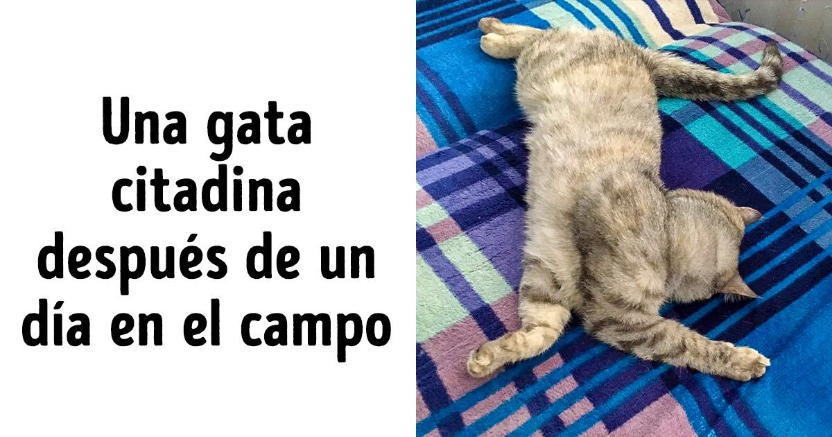 Si estás cansado y esperas el fin de semana, ten por seguro que no eres el único