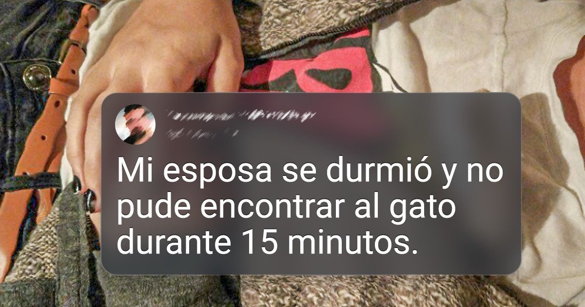 17 Mascotas con las que no tiene sentido intentar jugar a las escondidas, de cualquier forma ganarán 17 Mascotas con las que no tiene sentido intentar jugar a las escondidas, de cualquier forma ganarán