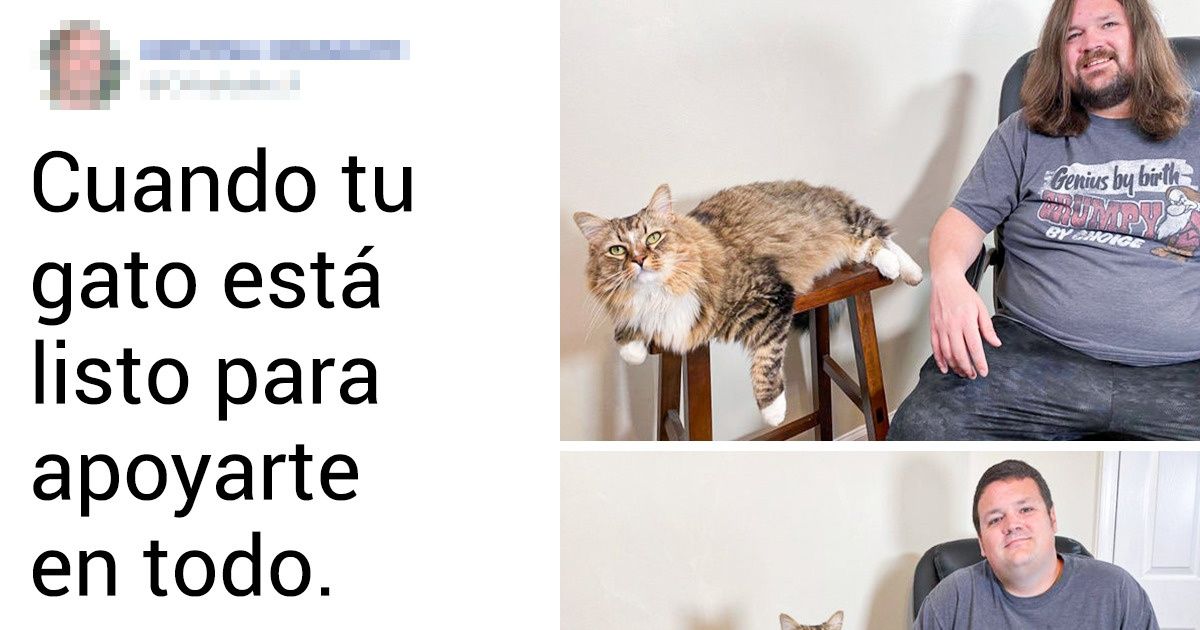 19 Pruebas de que las mascotas y sus dueños se parecen como dos gotas de agua 19 Pruebas de que las mascotas y sus dueños se parecen como dos gotas de agua