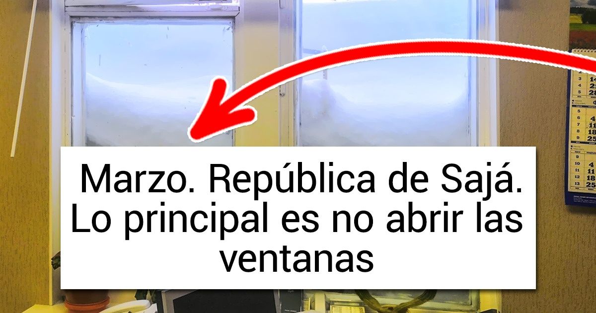 20+ Hechos del tipo “Es el norte, bebé” que nos hicieron querer acurrucarnos junto al calefactor 20+ Hechos del tipo “Es el norte, bebé” que nos hicieron querer acurrucarnos junto al calefactor