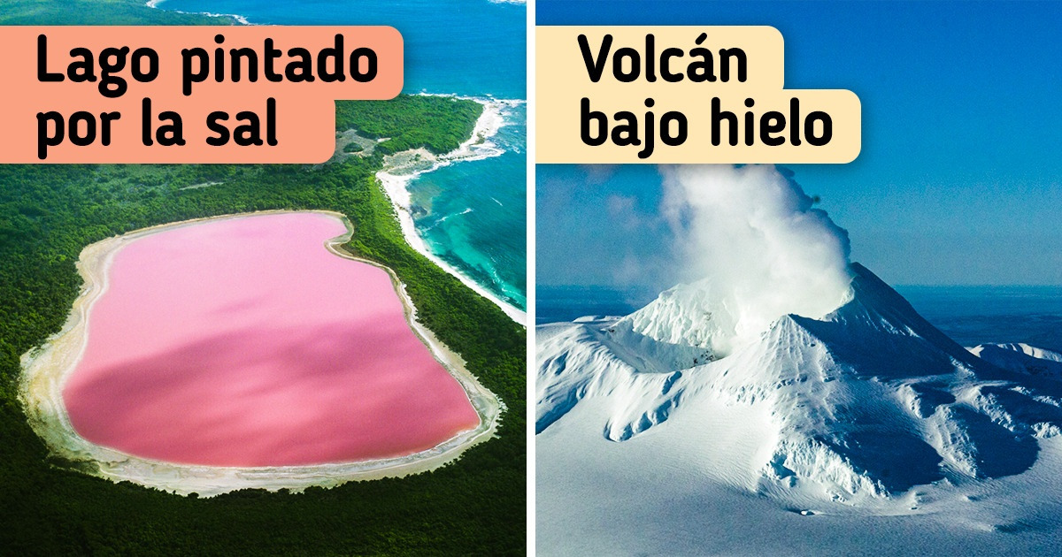 14 Rarezas que prueban que la naturaleza a veces se inspira más de la cuenta 14 Rarezas que prueban que la naturaleza a veces se inspira más de la cuenta