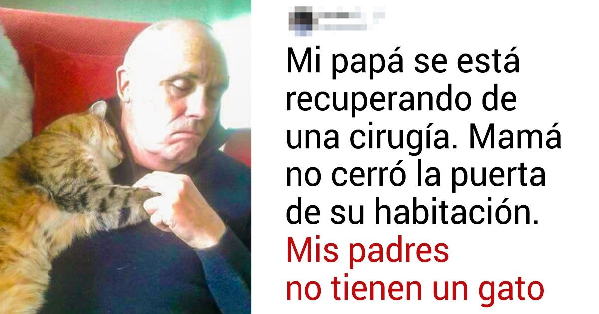23 Pruebas de que cada familia necesita una mascota 23 Pruebas de que cada familia necesita una mascota
