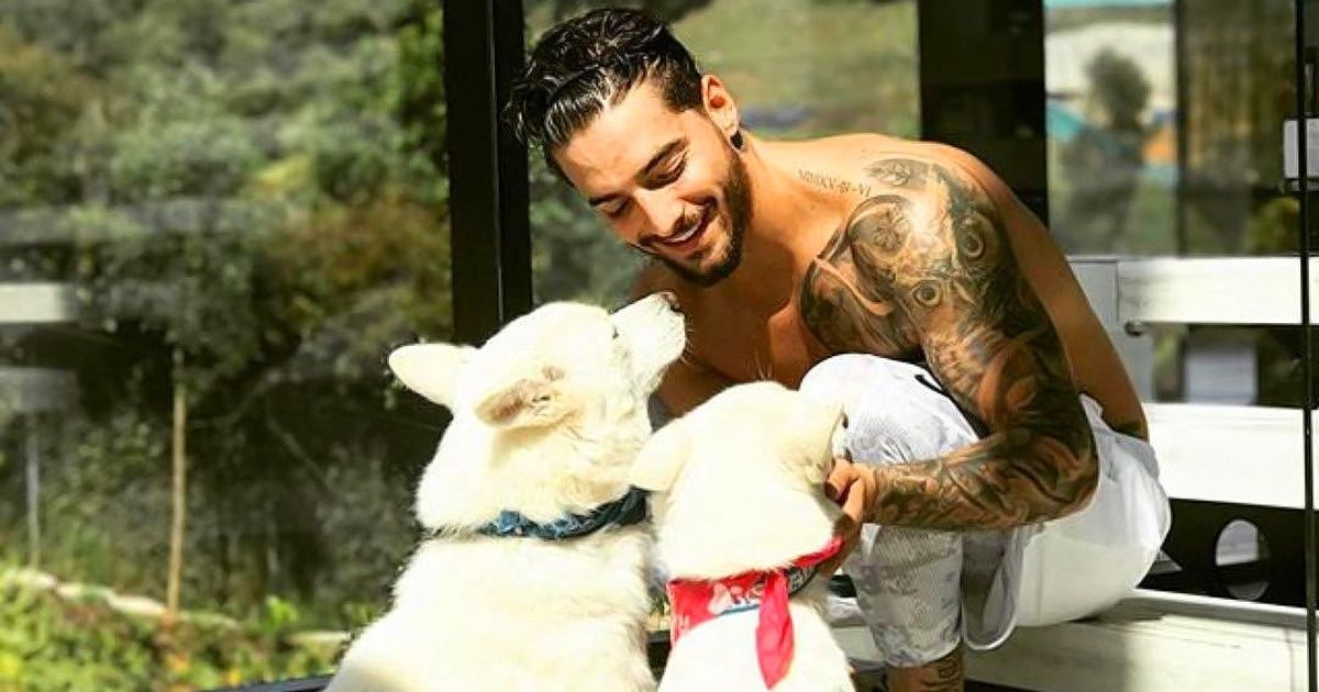 11 Cosas que no sabías de Maluma 11 Cosas que no sabías de Maluma