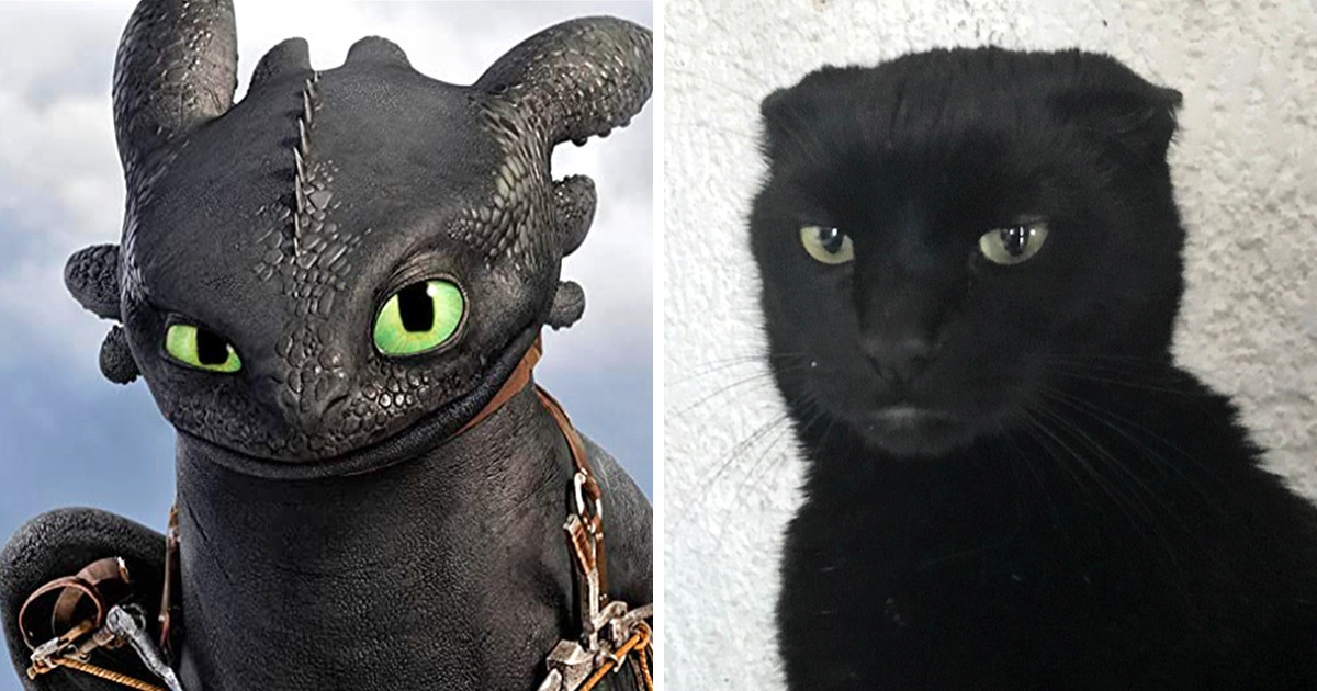 12 Dragones entrañables que compartieron rasgos con animales reales que los hicieron únicos