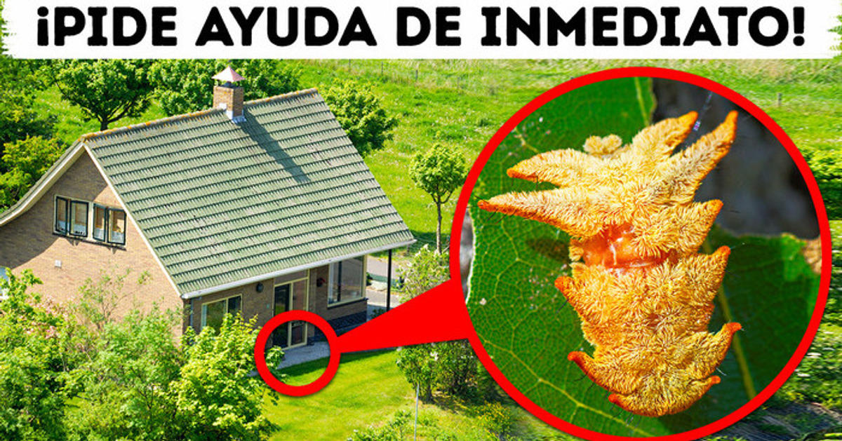 Si esa cosa te pica, métete y actúa rápido