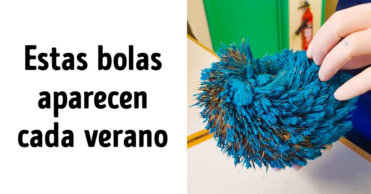 Estos británicos se encontraron una bola azul en su jardín y resultó que estaba viva