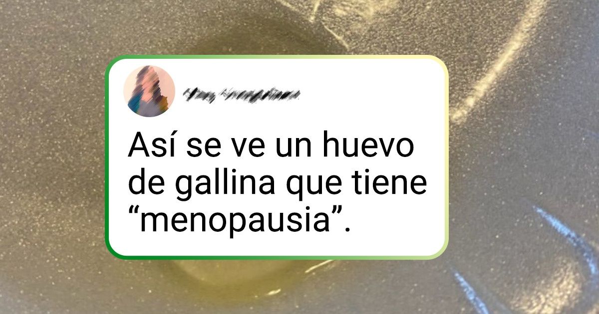 20 Personas que accidentalmente encontraron la respuesta a la pregunta: “¿Qué pasaría si...?”