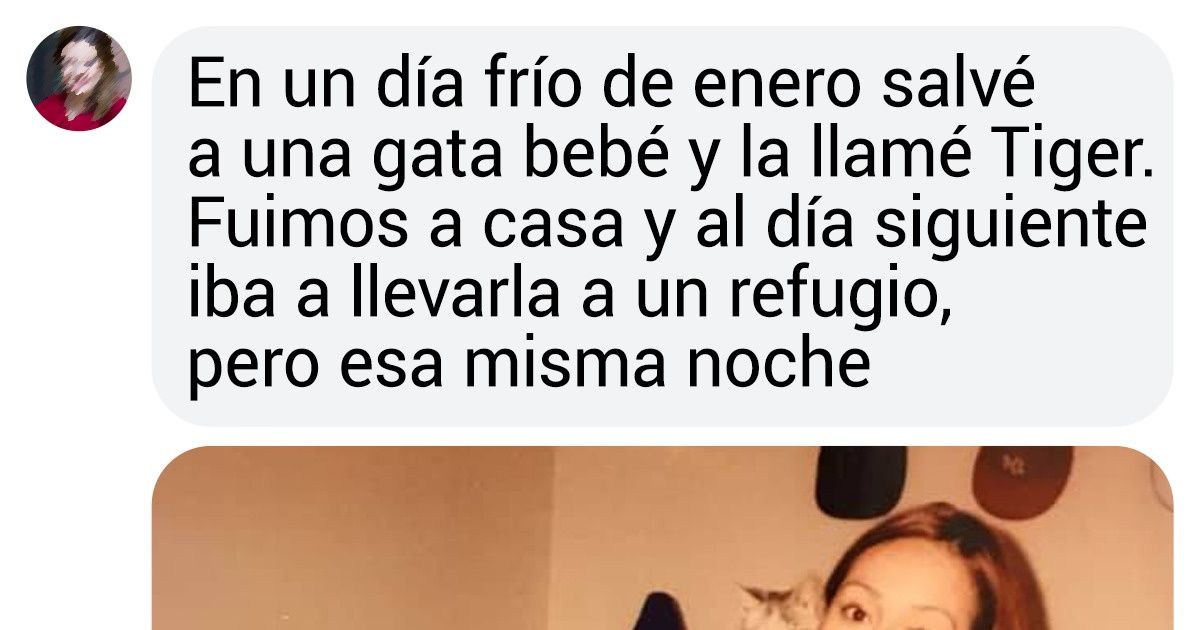 20 Usuarios de Genial contaron el recuerdo más lindo que tienen de su primera mascota 20 Usuarios de Genial contaron el recuerdo más lindo que tienen de su primera mascota