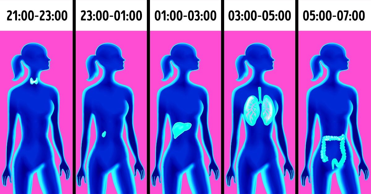 Por qué estás despertando al mismo tiempo todas las noches