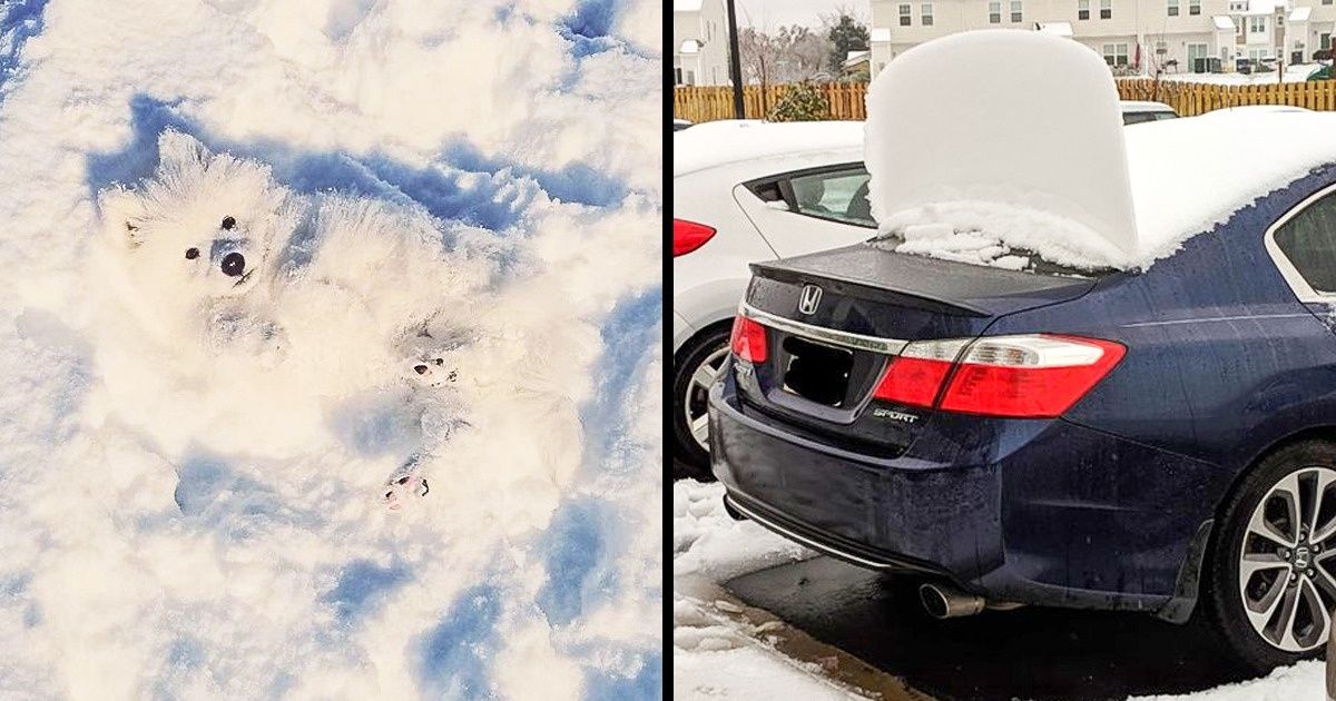26 Fotos que solo se pueden tomar en invierno