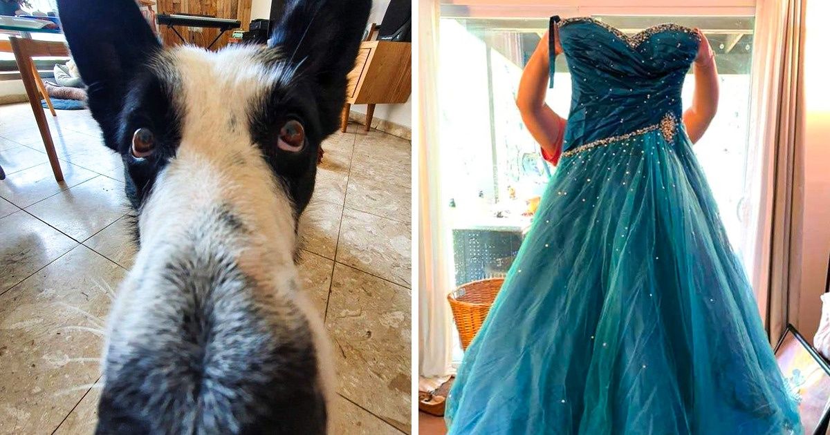 17 Fotos que son unos verdaderos acertijos visuales para confundir tu cerebro 17 Fotos que son unos verdaderos acertijos visuales para confundir tu cerebro