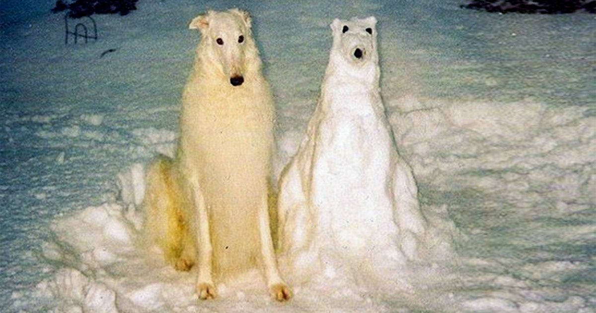 13 Personas compartieron fotos de momentos que los hicieron perder la cabeza por completo 13 Personas compartieron fotos de momentos que los hicieron perder la cabeza por completo