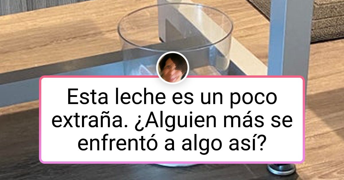 17 Divertidas pruebas de que los gatos son líquidos