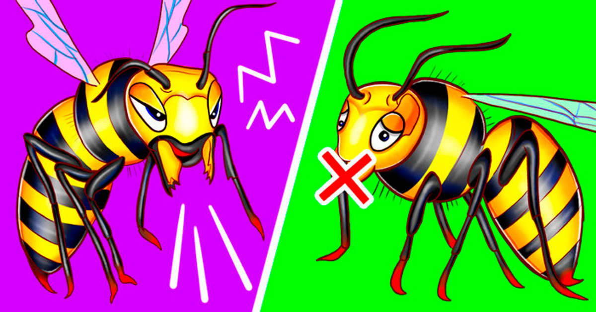He aquí el porqué algunas abejas zumban y otras no