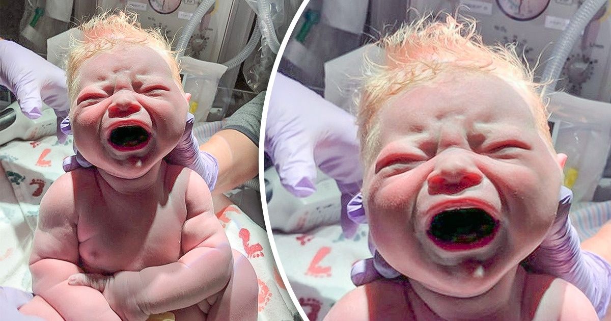 15+ Fotos que demuestran lo creativo que puede ser el cuerpo humano