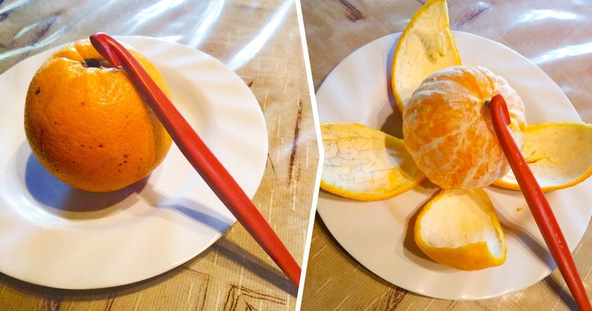 18 Objetos peculiares que muchos desearían haber conocido antes