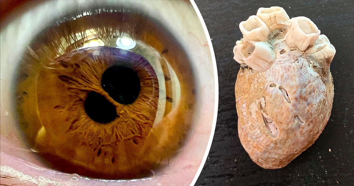 21 Fotos demuestran que los detalles de la vida están para ser apreciados