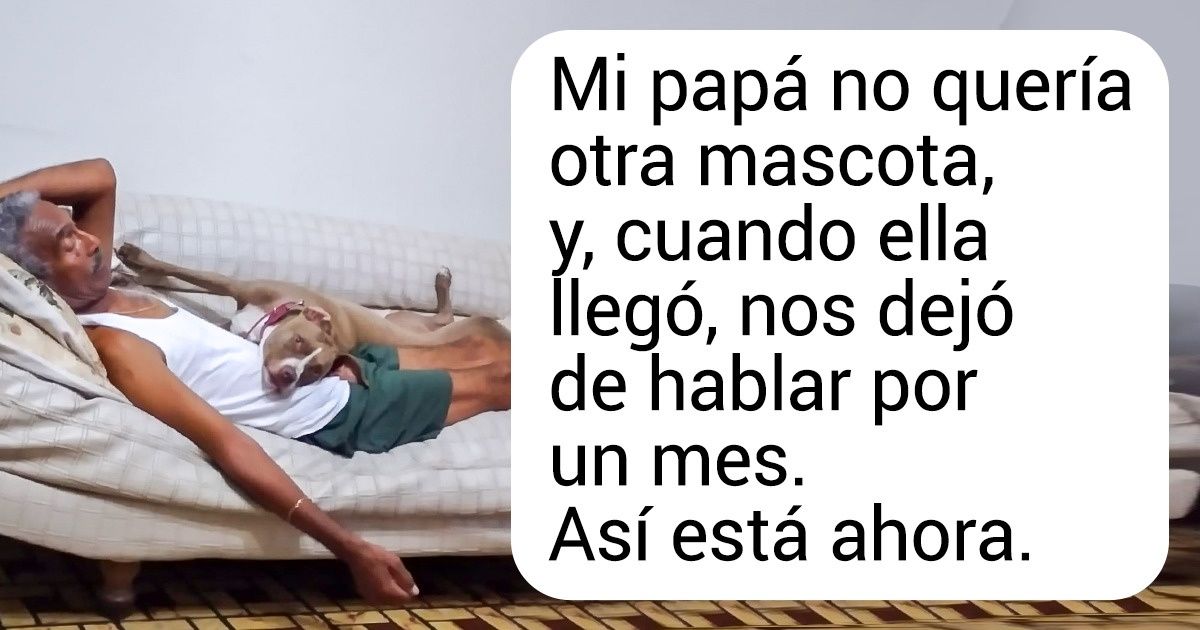 16 Mascotas de los usuarios de Genial que, al principio, no eran bienvenidas, pero se terminaron adueñando de la casa y del corazón de sus amos 16 Mascotas de los usuarios de Genial que, al principio, no eran bienvenidas, pero se terminaron adueñando de la casa y del corazón de sus amos