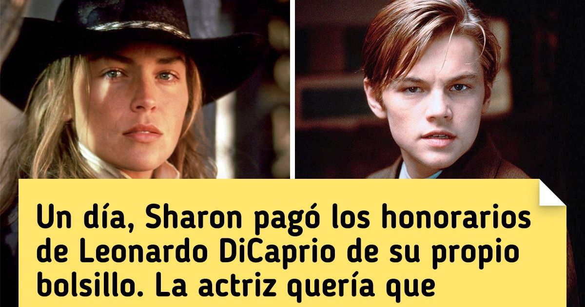 15 Datos sobre Sharon Stone, la actriz a la que el destino le puso una zancadilla, pero se metió con la persona equivocada