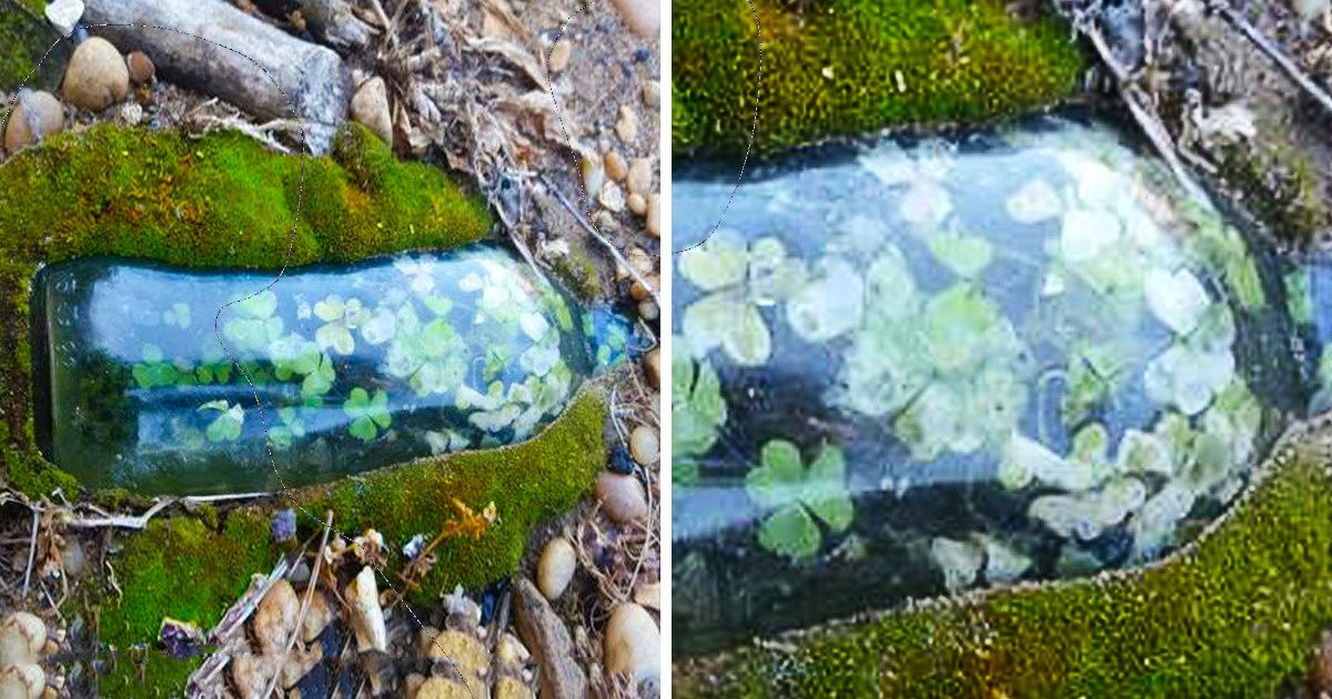 14 Fotos que demuestran que en el mundo todavía hay muchas cosas con las que podemos sorprendernos