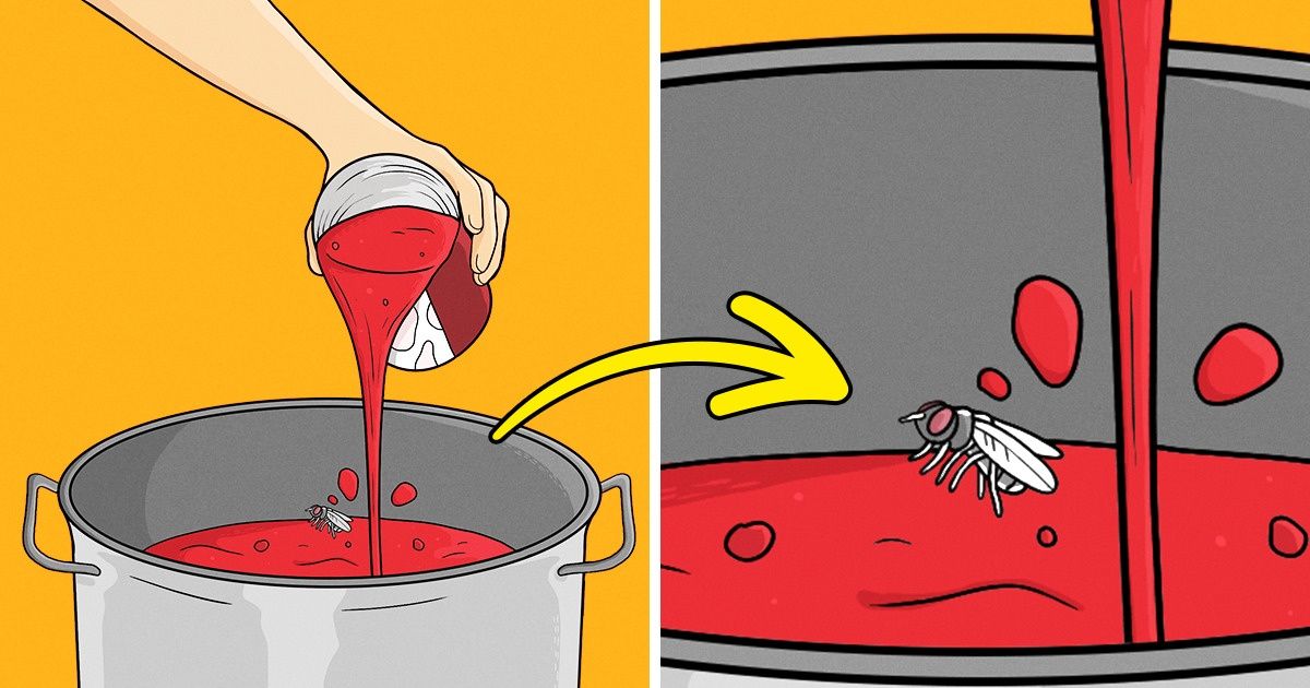 4 Razones por las que hay que limpiar la tapa de una lata antes de abrirla