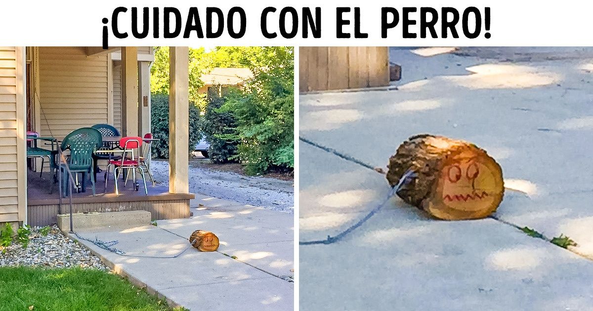 18 Fotos que te harán pensar: “¡Qué aburrida es mi vida!”