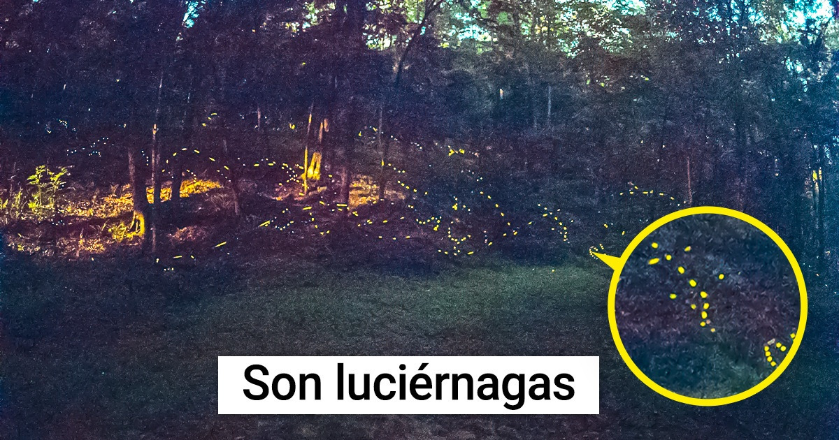 12 Lugares con fenómenos tan increíbles que no parecen formar parte de este mundo